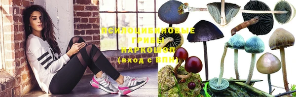 прущий лед Карпинск