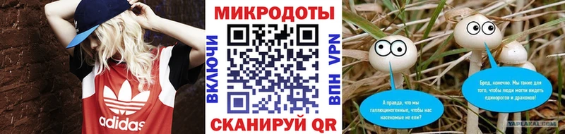 Псилоцибиновые грибы Cubensis Иваново